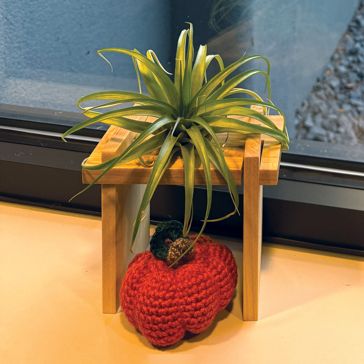 Air Plant Stand — Handmade, Minimalist Modular Wooden Cube Display