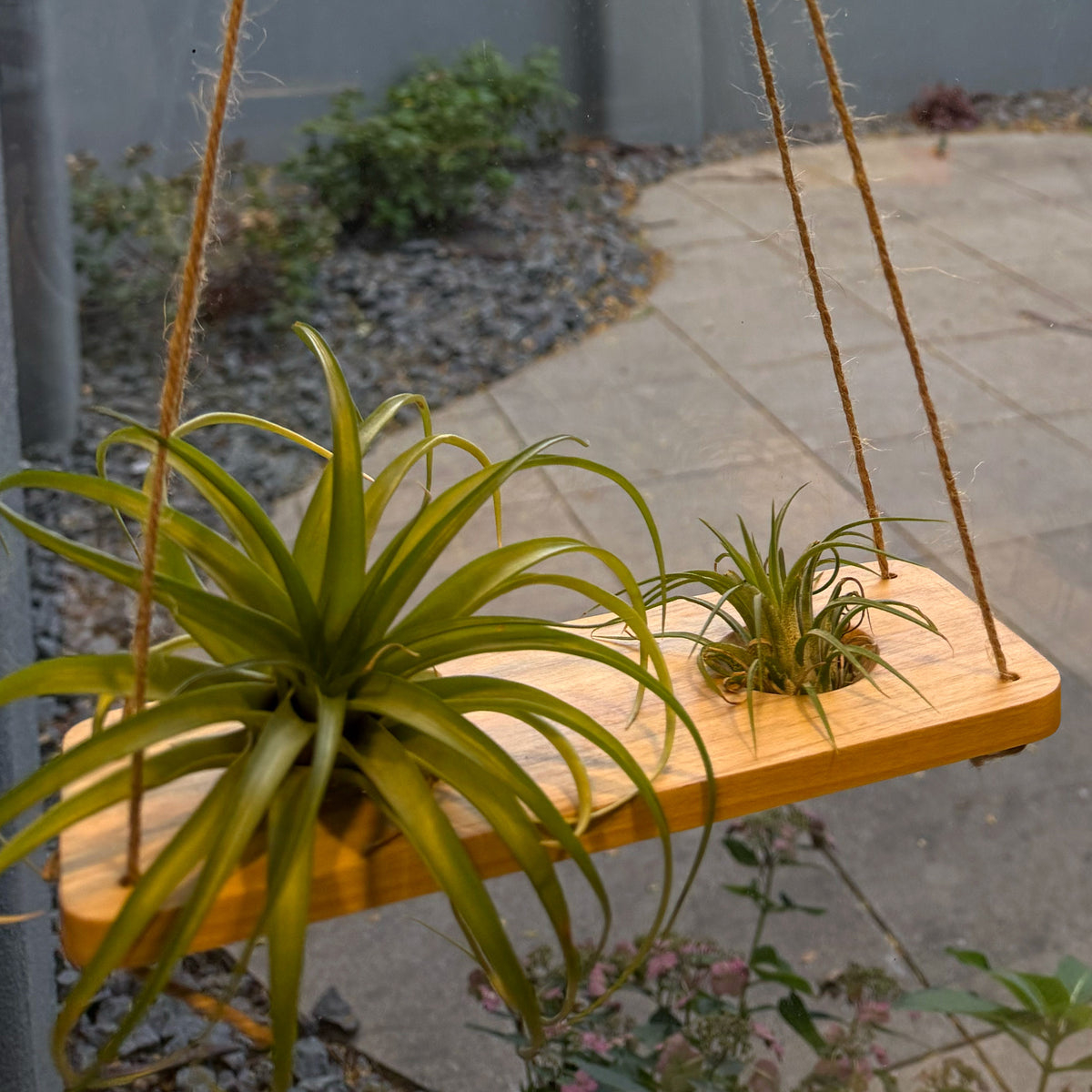 Double Air Plant Swing Set for 4 Air Plants – Poplar Wood Hanging Swings with Twine & Beads