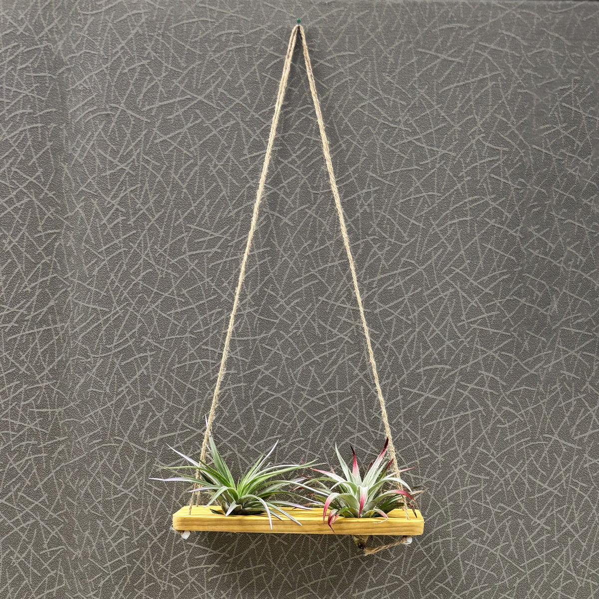 Double Air Plant Swing Set for 4 Air Plants – Poplar Wood Hanging Swings with Twine & Beads