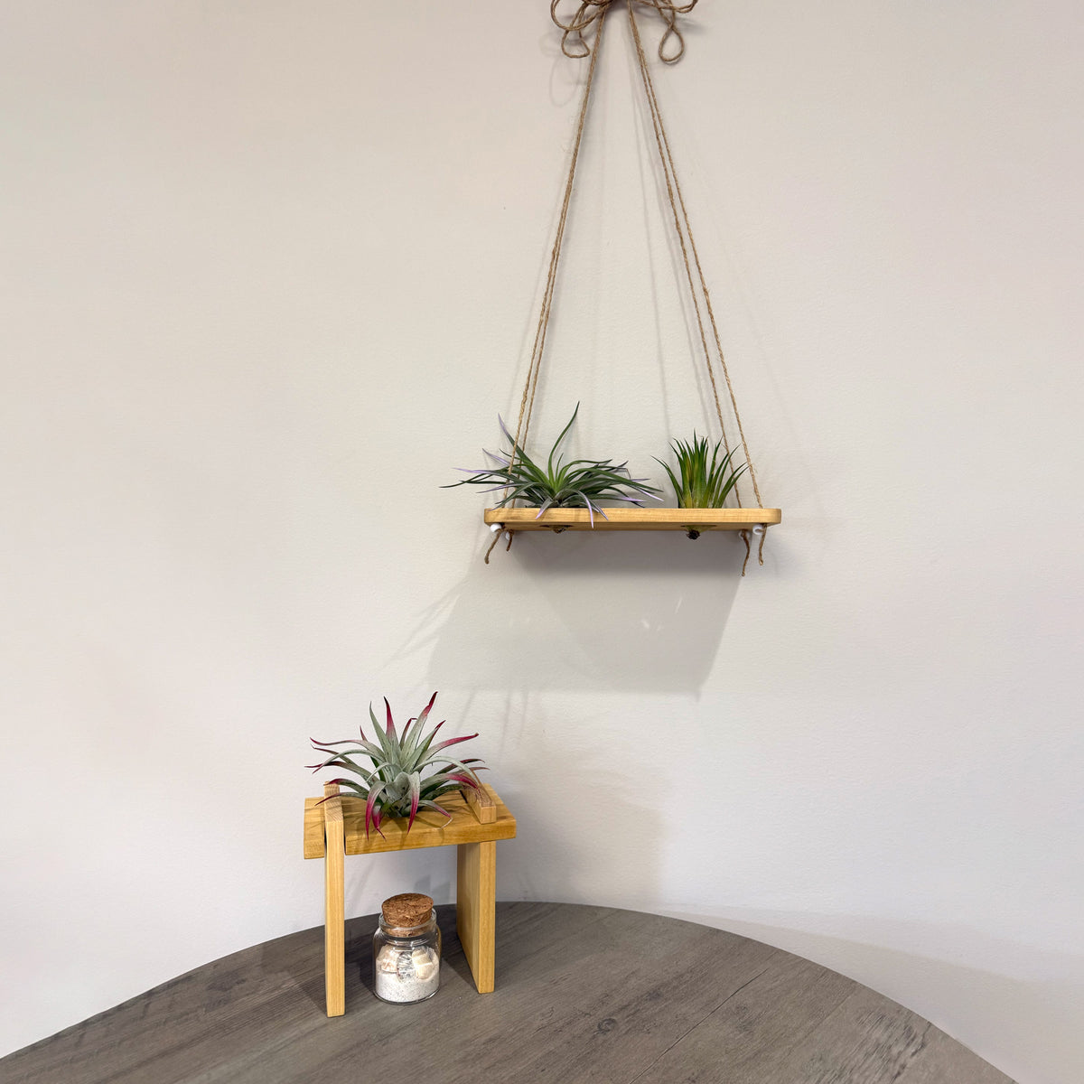 Air Plant Stands Kit – 2-Piece Natural Poplar Wood Display for Air Plants