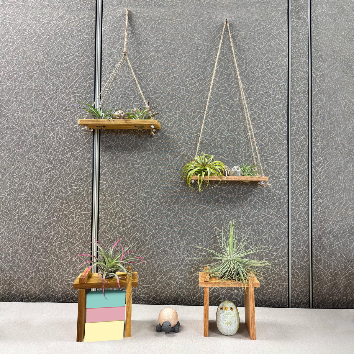 Air Plant Stands Kit with Stone Owl – 2 Poplar Wood Displays & Hand-Carved Stone Owl Accent