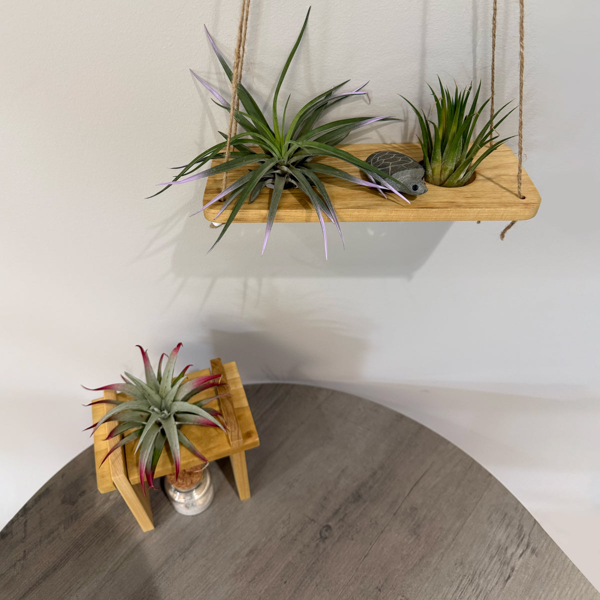 Air Plant Stands Kit with Stone Turtle – Natural Poplar Wood Stands & Hand-Carved Stone Turtle Accent