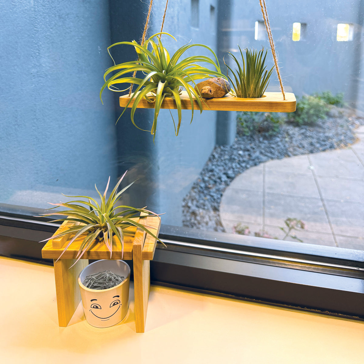 Air Plant Stands Kit with Stone Turtle – Natural Poplar Wood Stands & Hand-Carved Stone Turtle Accent