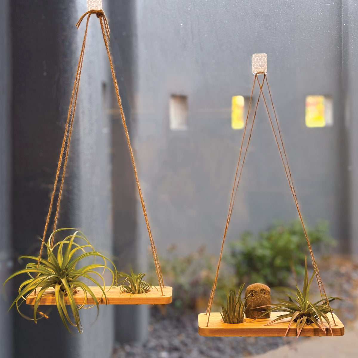 Double Air Plant Swing Set with Stone Owl – 2 Wooden Swings for 4 Air Plants & Natural Stone Owl