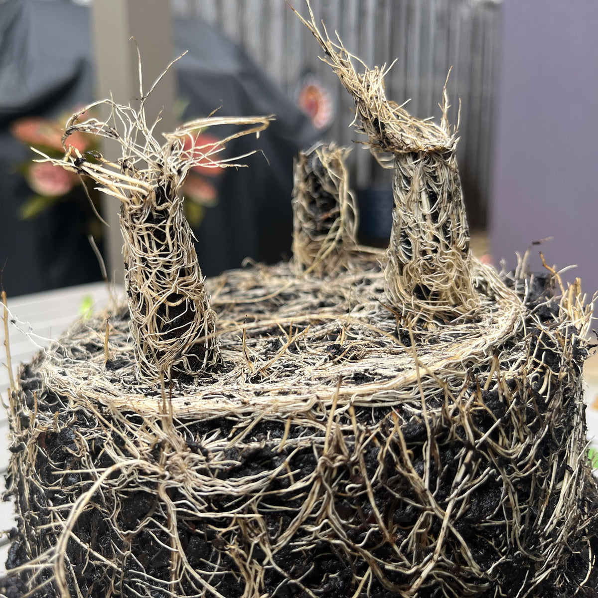 7" Indigo Round Bamboo Self-Watering Indoor/Outdoor Plant Pot