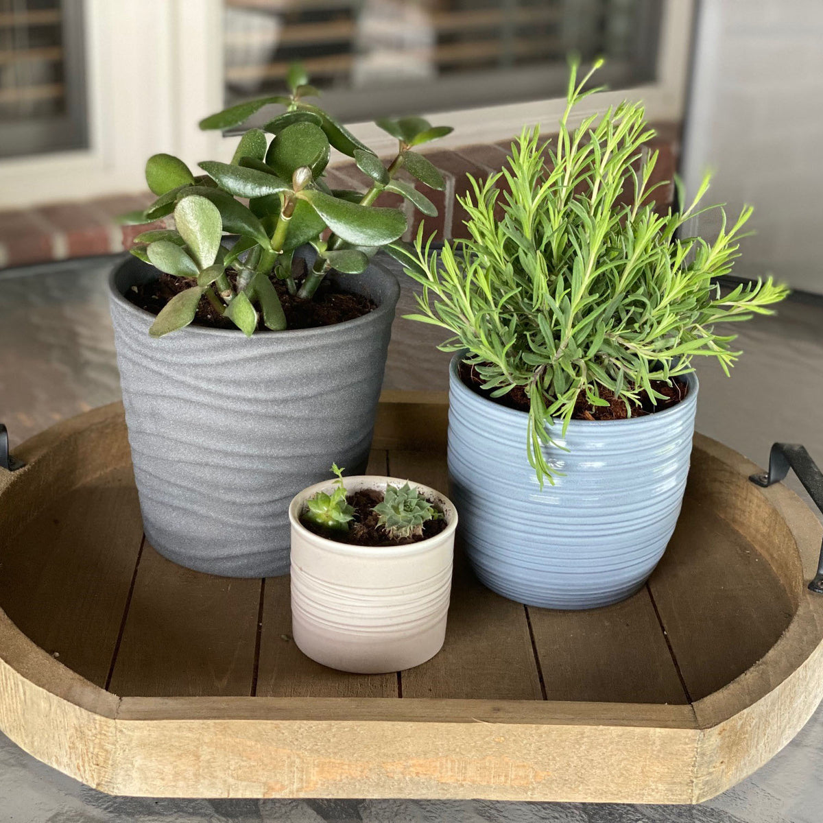 5.1" Light Gray Ceramic Bergamo Pot