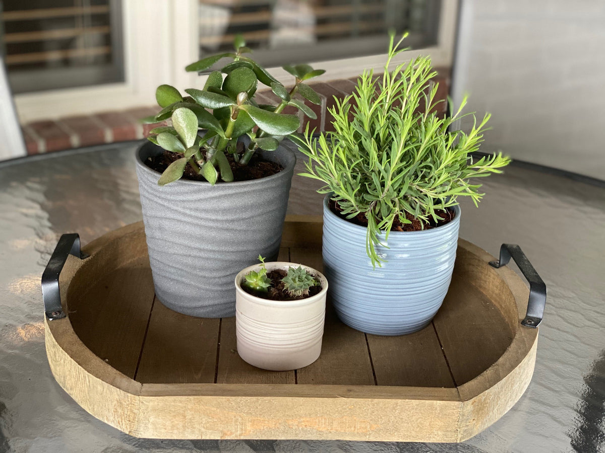 5.5" Anthracite Ceramic Sonora Pot