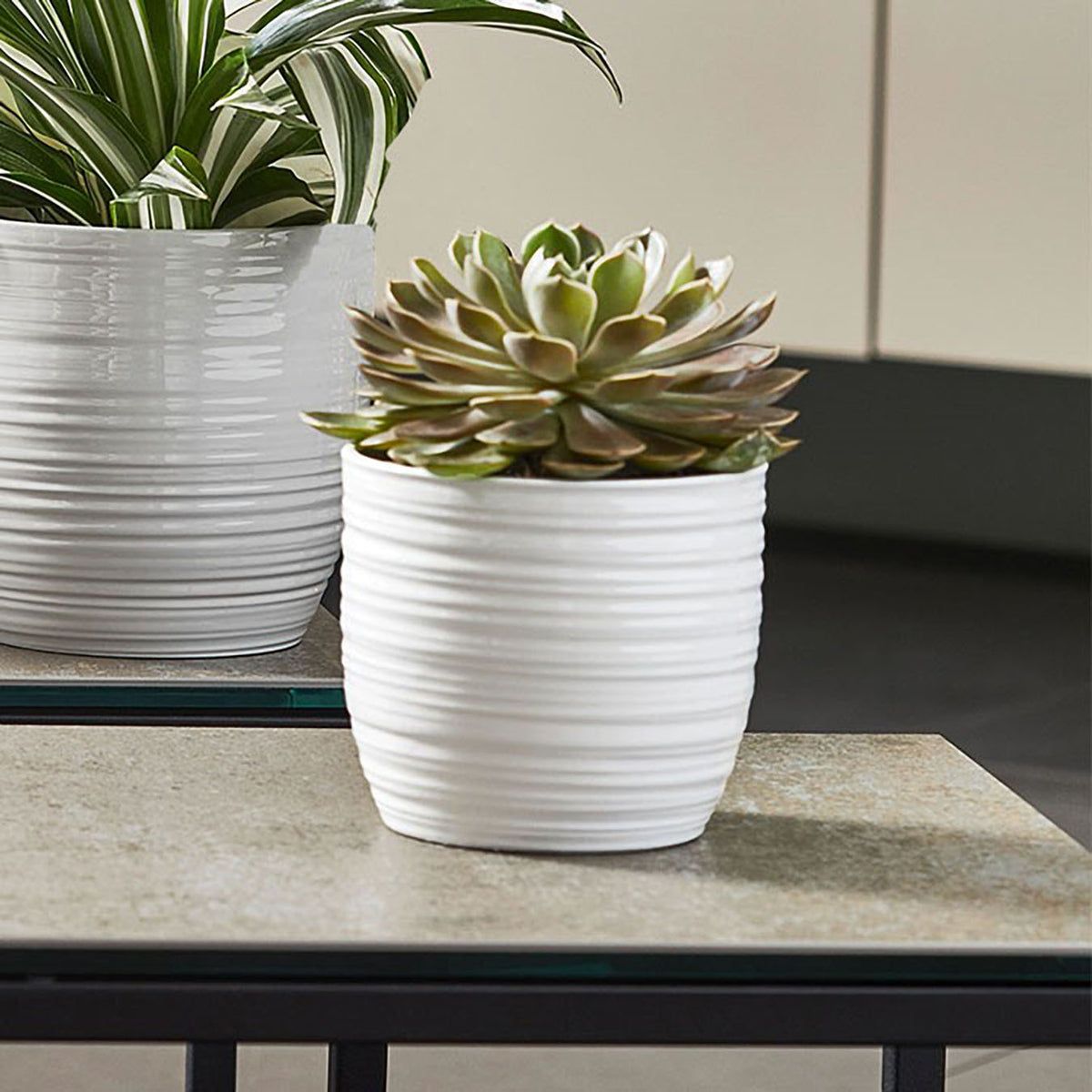 5.1" Shiny White Ceramic Bergamo Pure Pot