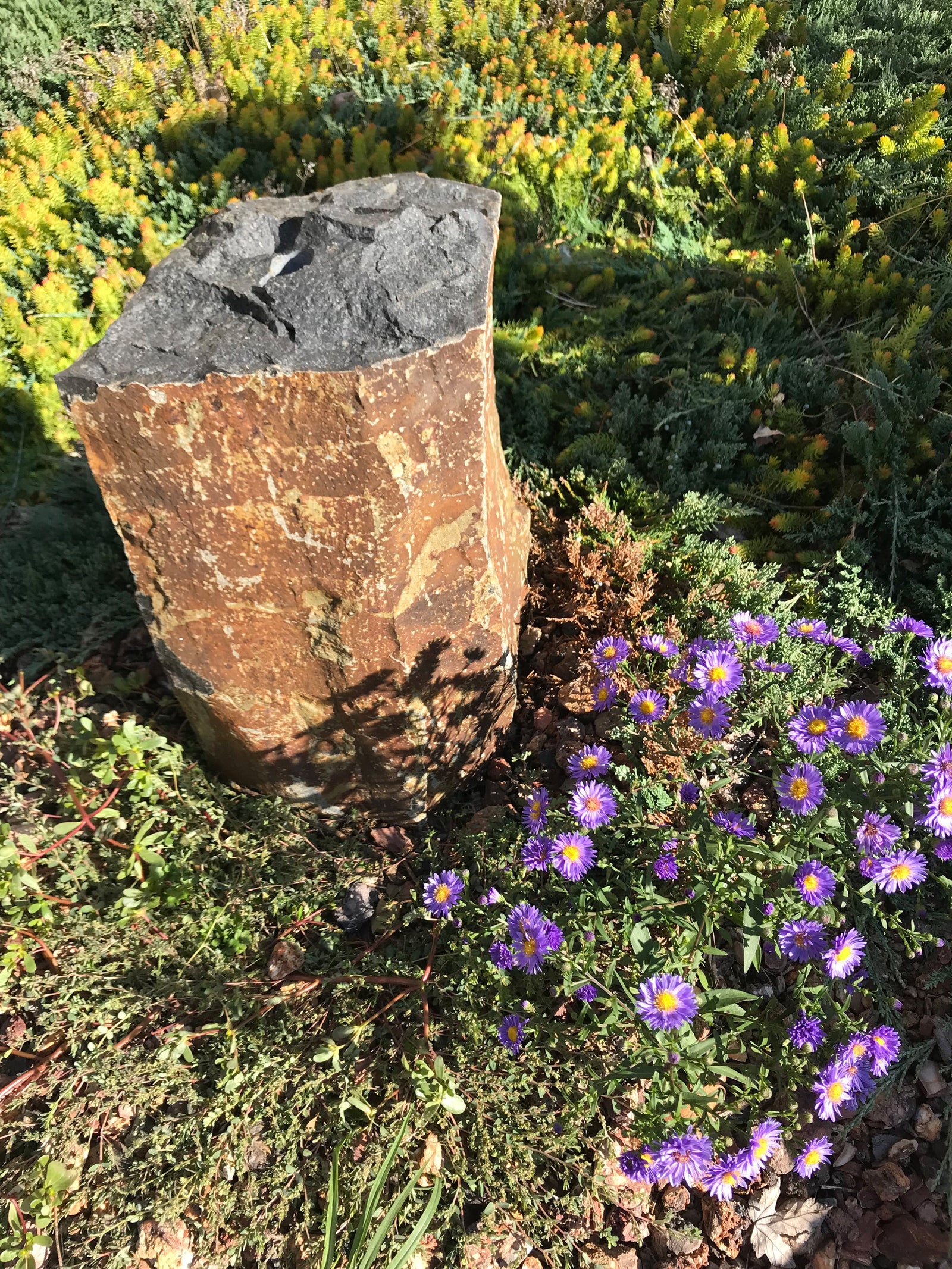 18" basalt column with polished, dished-out top in garden setting, ideal for landscaping.