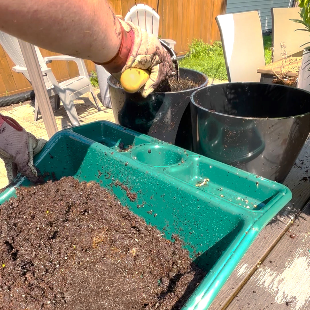 Compact Tidy Tray with Shelf, Green, 19"L x 19.5"W x 6"H; 2lbs