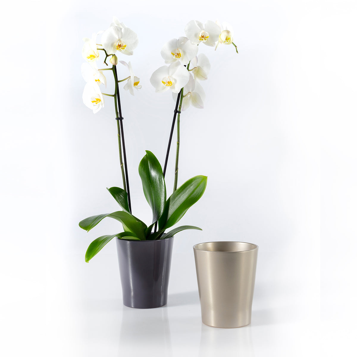 5.9" Shiny Mystic Gray Ceramic Merina Chic Pot