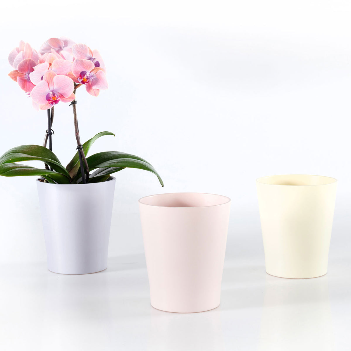 5.9" Matte Pastel Rose Ceramic Merina Pastel Pot