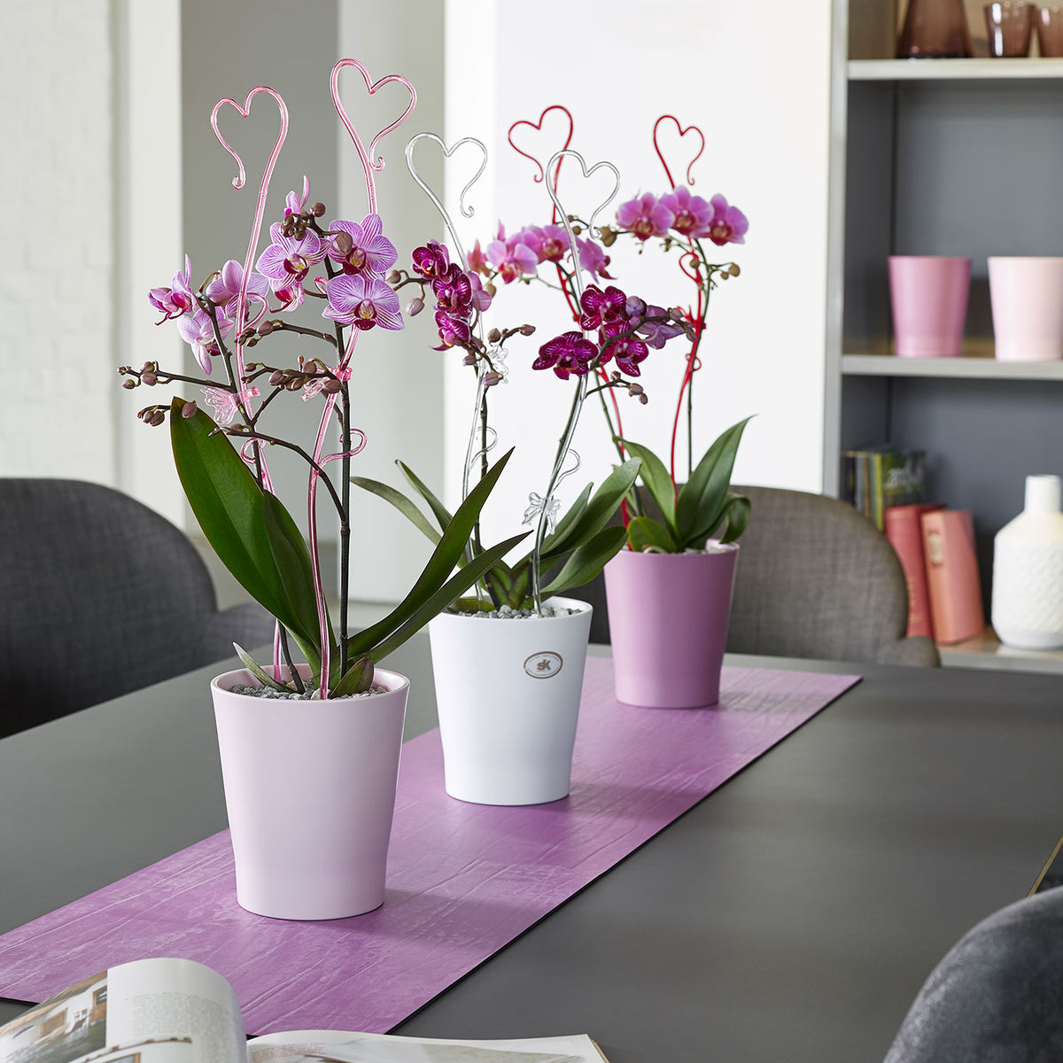 5.9" Matte Fucia Ceramic Merina Pretty Pot