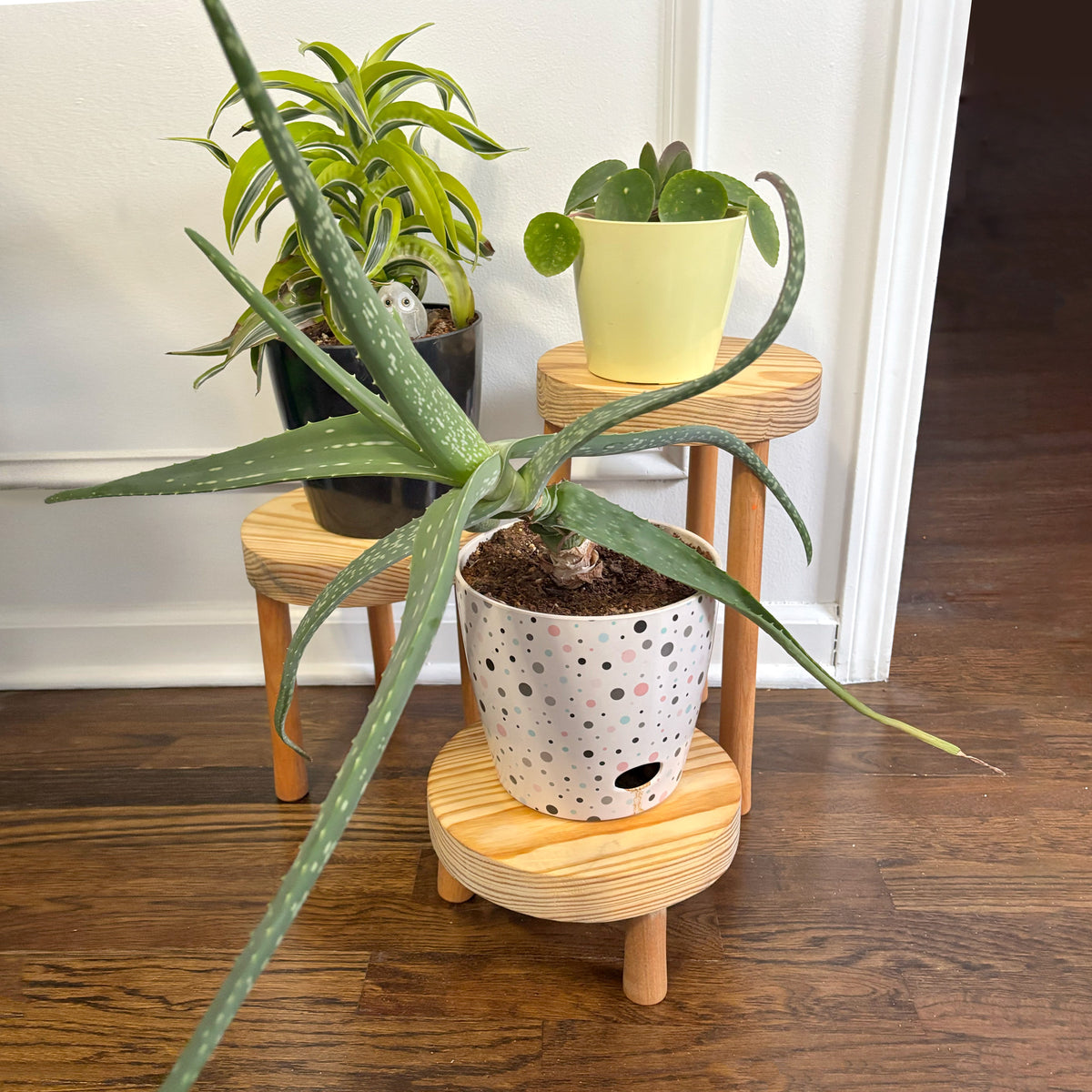 Set of 3 Plant Stand Tripods – Elevate Your Plants