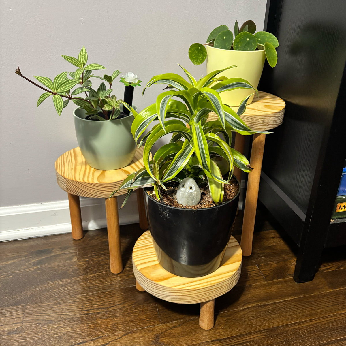 Set of 3 Plant Stand Tripods – Elevate Your Plants