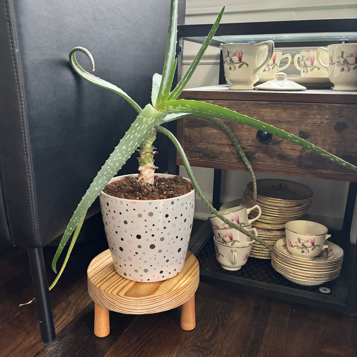 Set of 3 Plant Stand Tripods – Elevate Your Plants