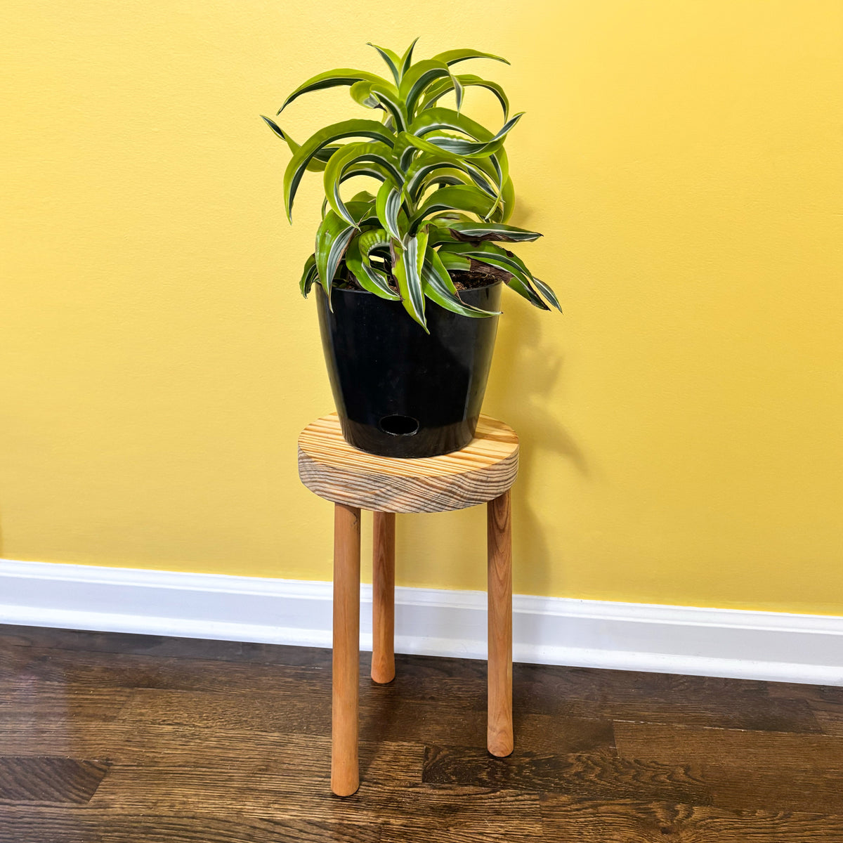 Set of 3 Plant Stand Tripods – Elevate Your Plants