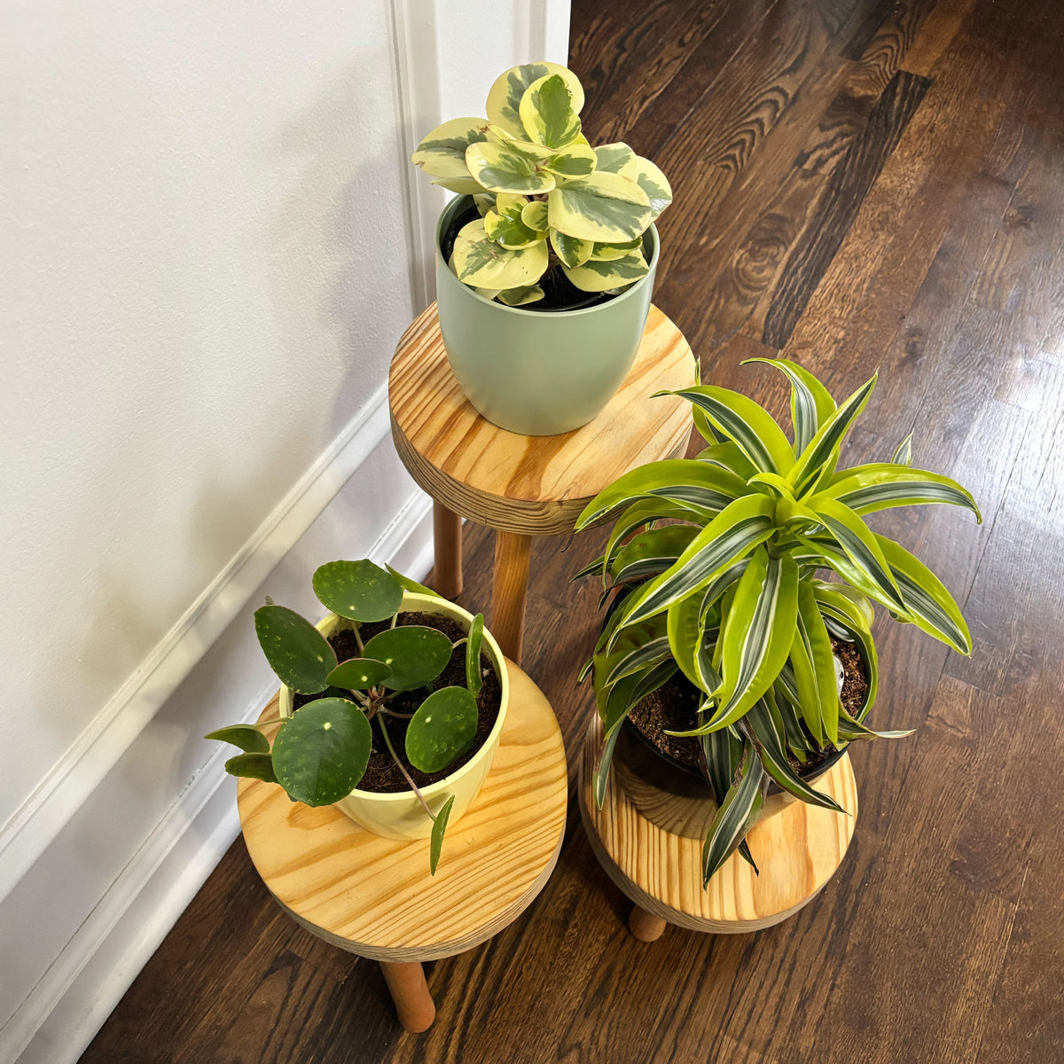 Set of 3 Plant Stand Tripods – Elevate Your Plants