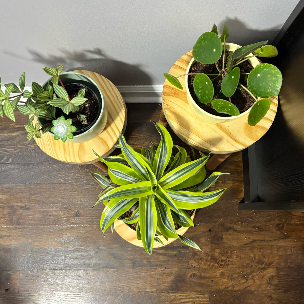 Set of 3 Plant Stand Tripods – Elevate Your Plants