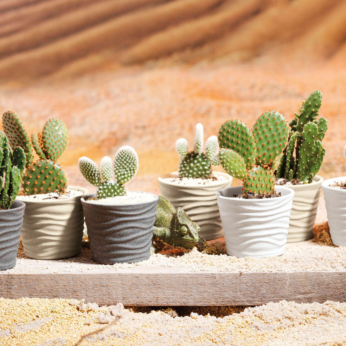 3.9" Anthracite Ceramic Sonora Pot