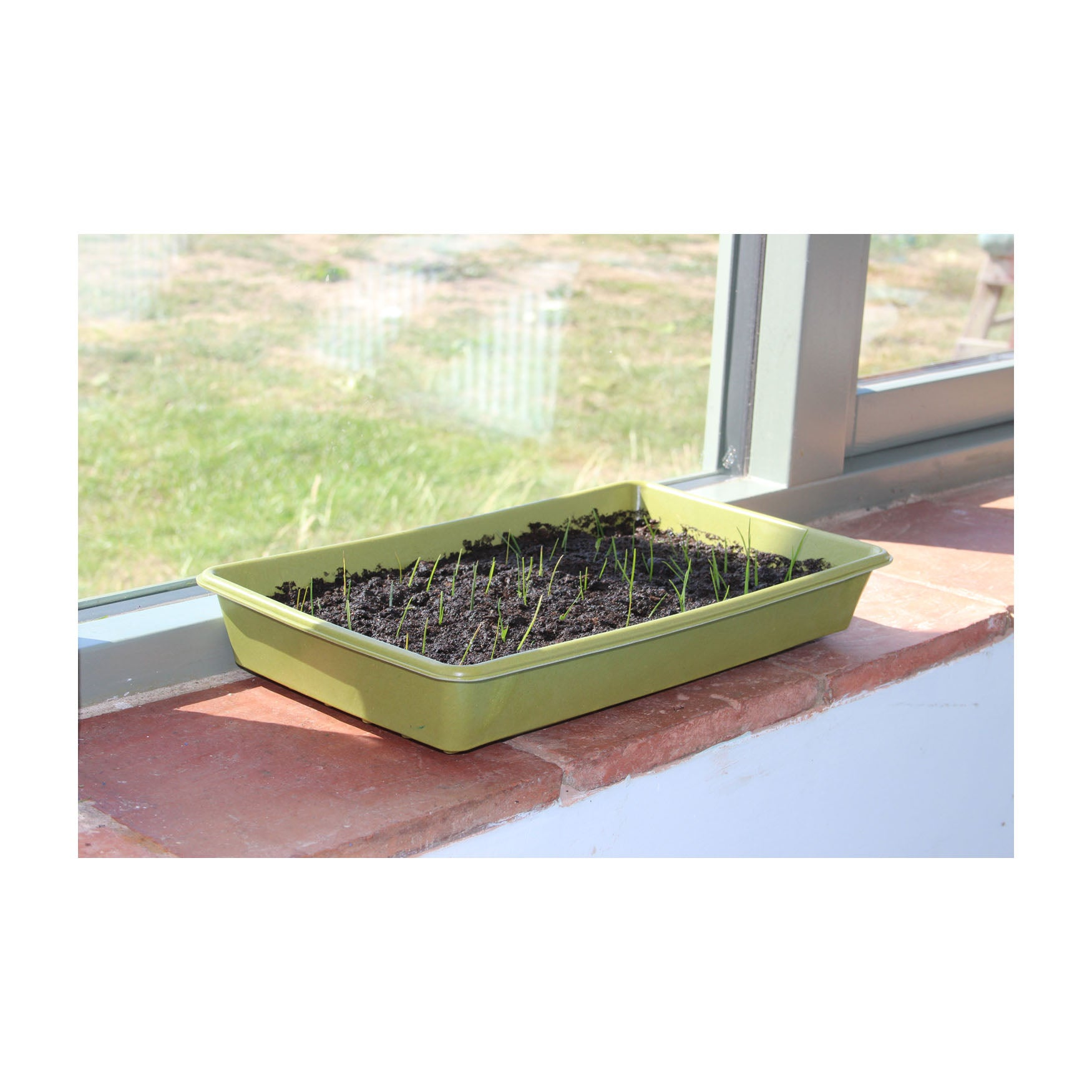 seed plant trays Haxnicks Bamboo Microgreen And Seed Tray