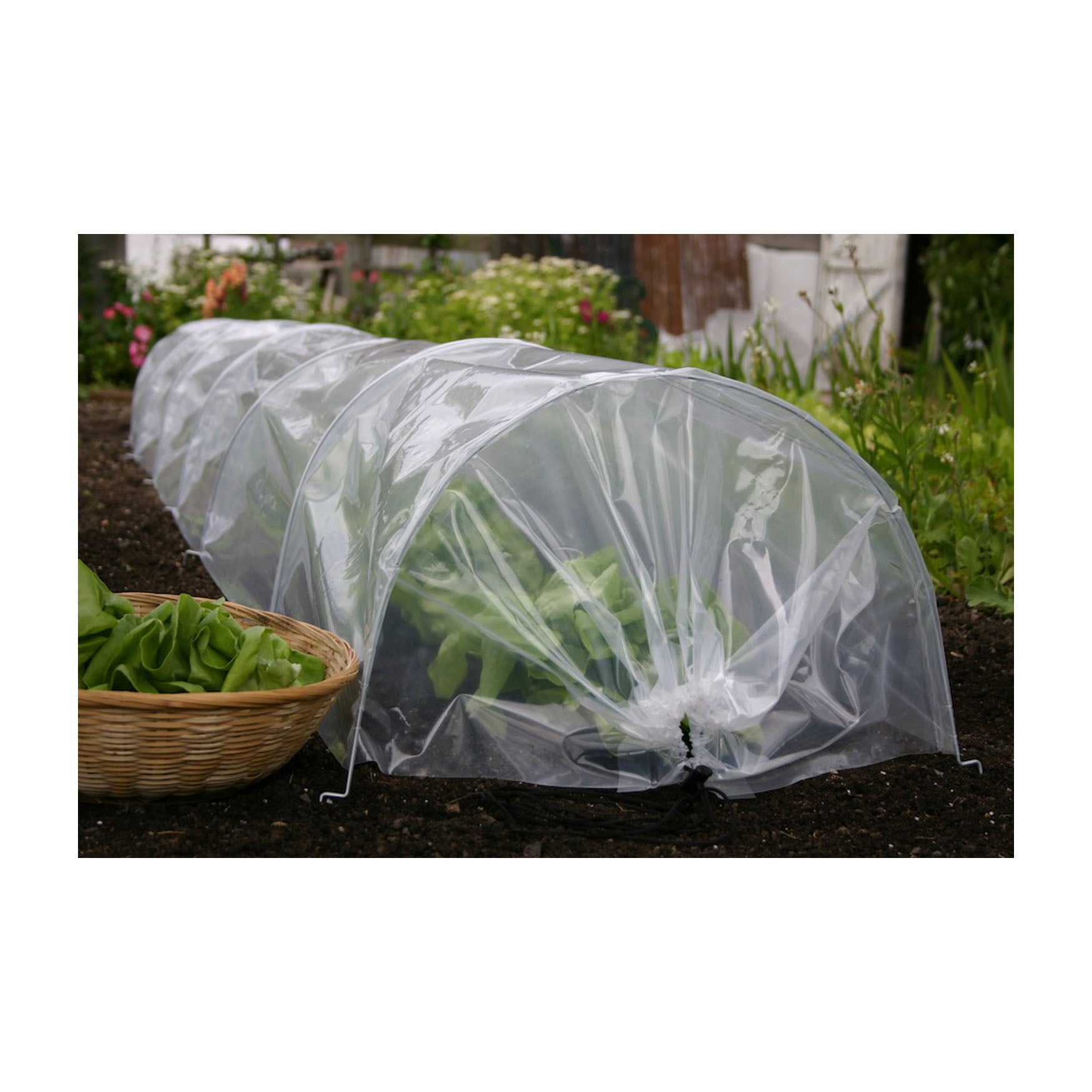 plastic tunnel for plants Haxnicks Easy Poly Tunnel Row Cover Standard