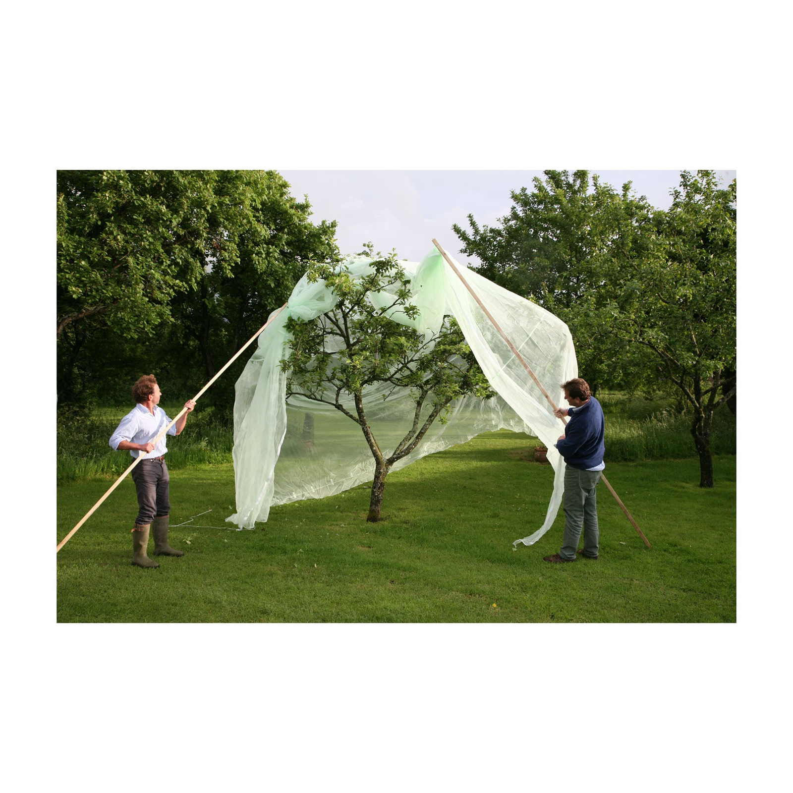 6.6' x 6.6' fruit tree cover with 1mm mesh, ideal for protecting trees from pests and weather.
