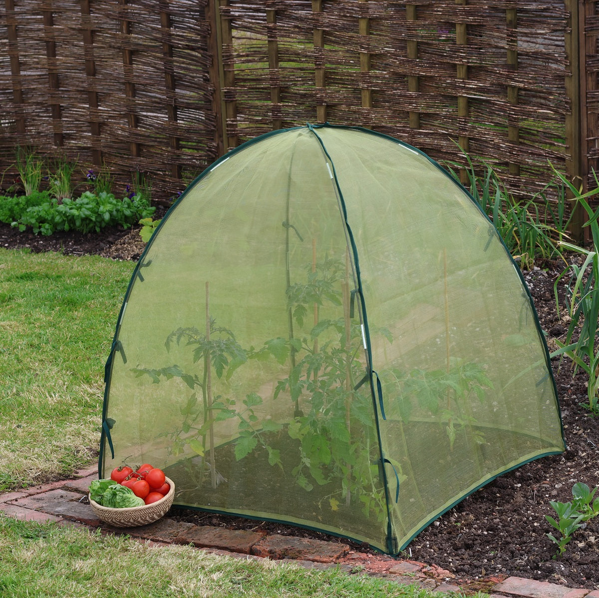plastic dome for plants Micromesh Dome Plant Protection 36"L x 36"W x 37"H