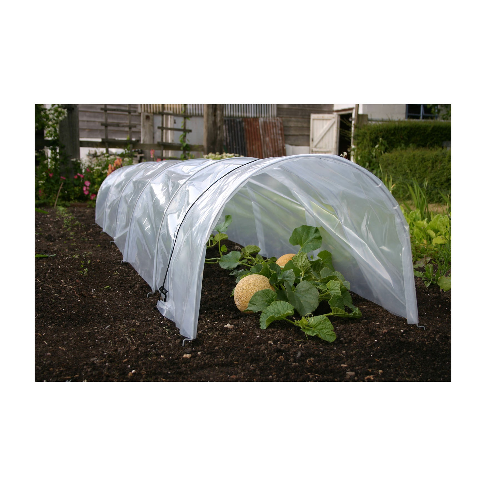 Giant Easy Poly Garden Tunnel for plant protection and soil warming, 118" long.