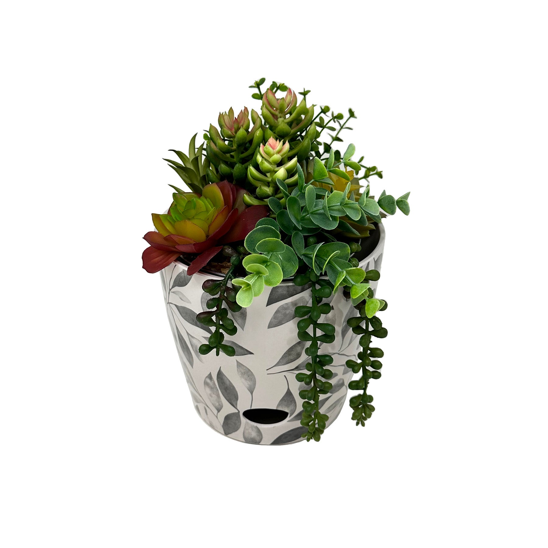 succulent round pot TDI Bamboo Round Self Watering Planter Gray Leaves / 7"