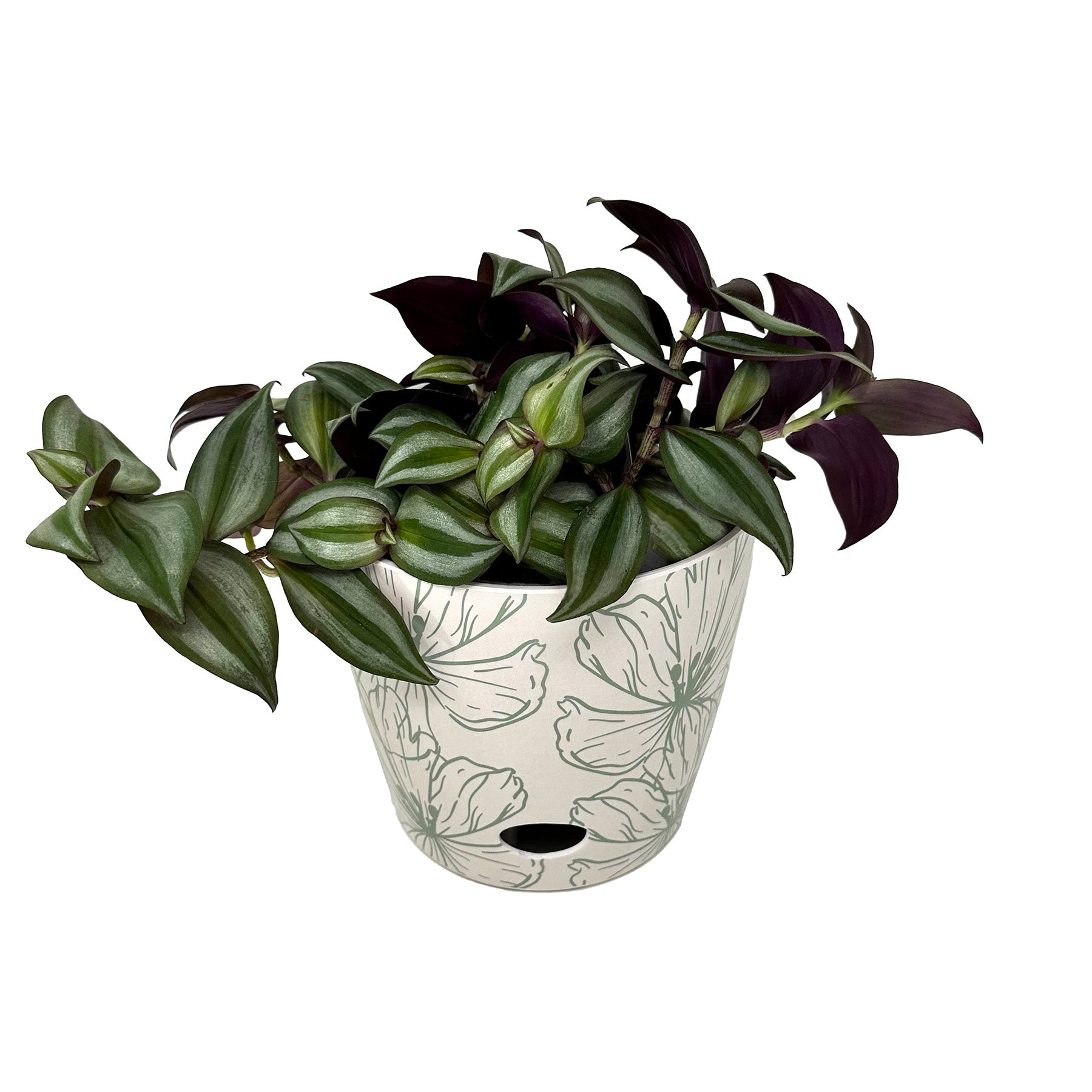 eco friendly indoor plant pots 7" Green Flower Round Self-Watering Bamboo Pot