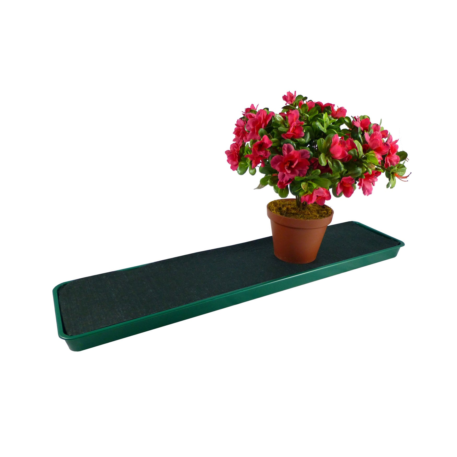 self watering plant tray Tierra Garden GP71 Windowsill Self Watering Plant Tray