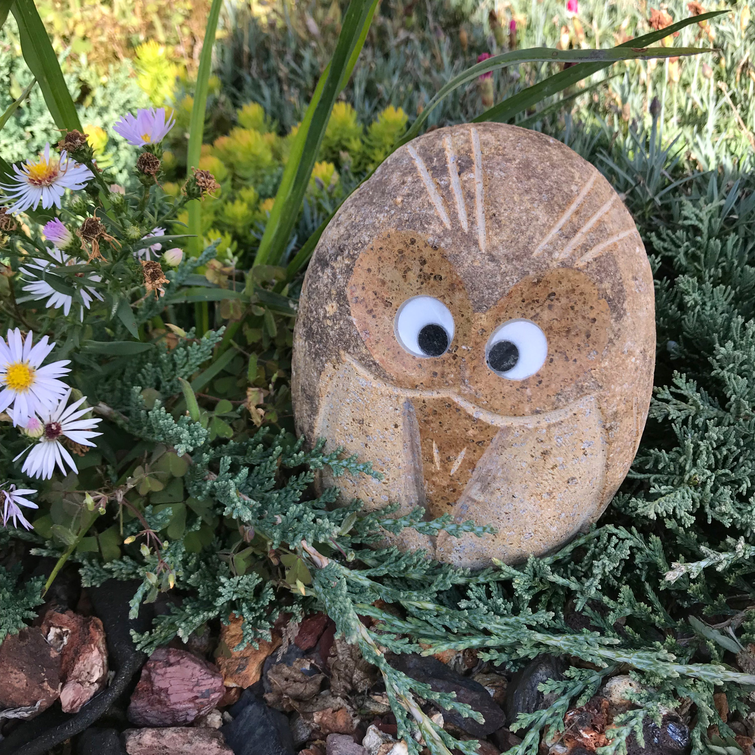 Hand carved natural granite 6" angry bird stone decor in garden setting.