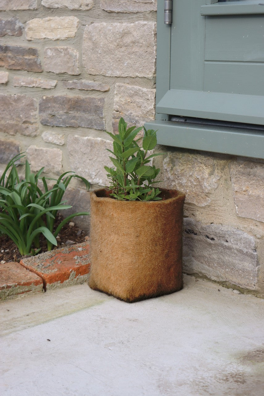 fibre plant pots near me Natural Hemp Fibre Pot 5 Liter