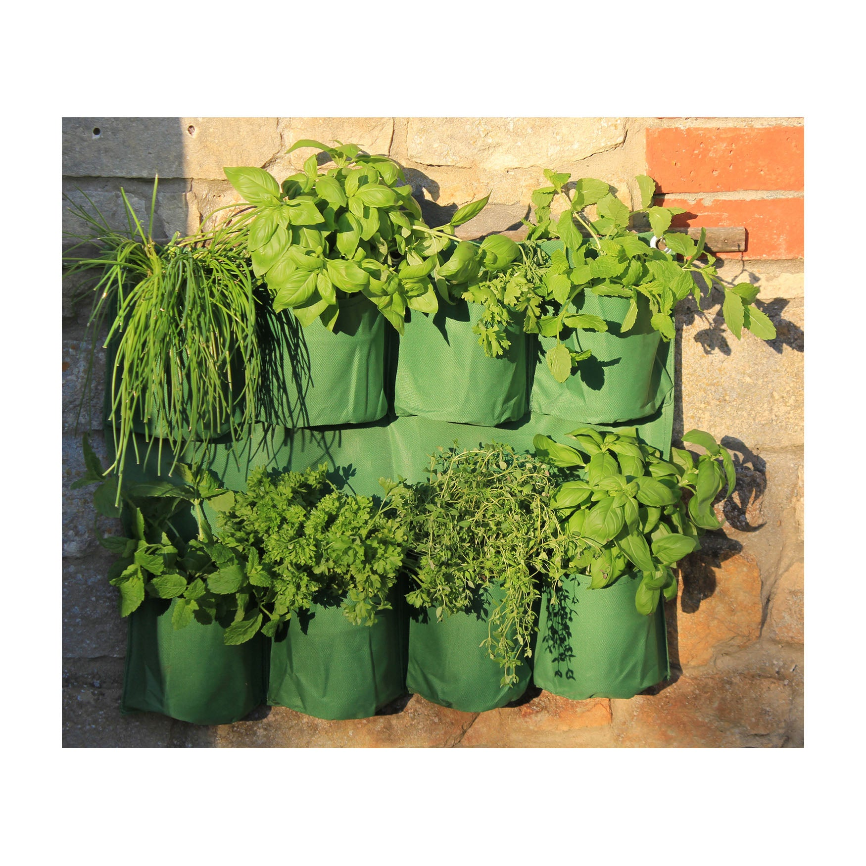 herb planter box hanging Haxnicks Herb Wall Planter