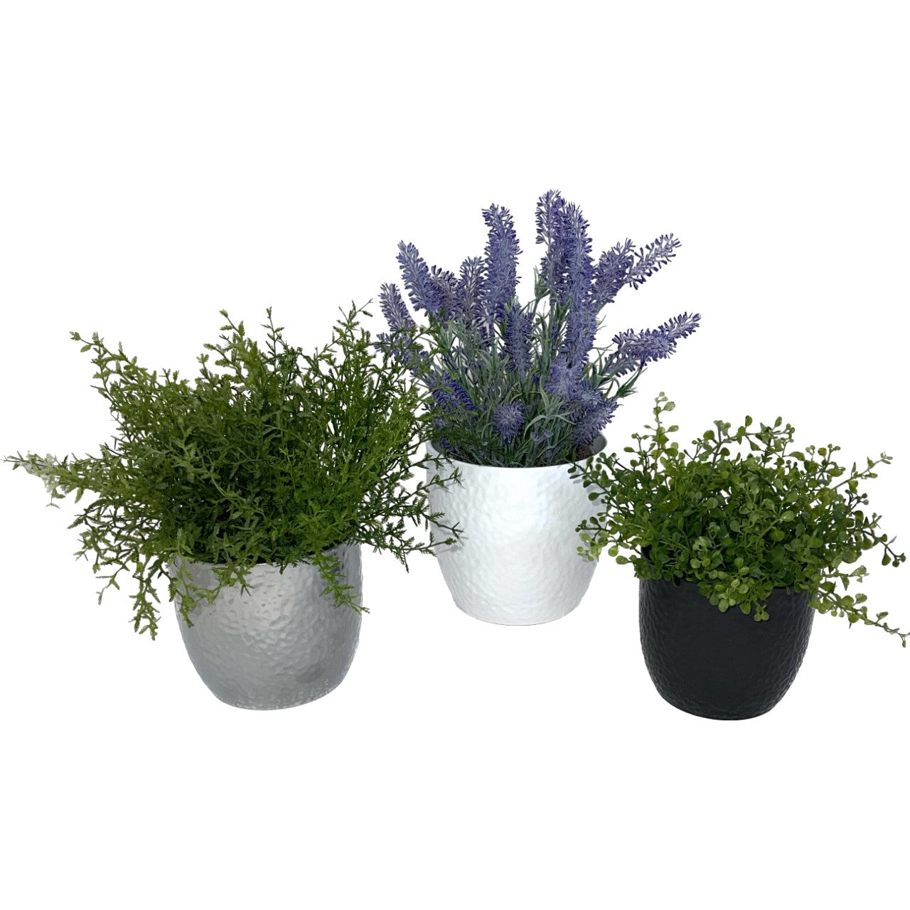 anthracite plant pots 6.3" White 5.5" Silver 5.1" Anthracite 3 Piece Set of Ceramic Boston Pots