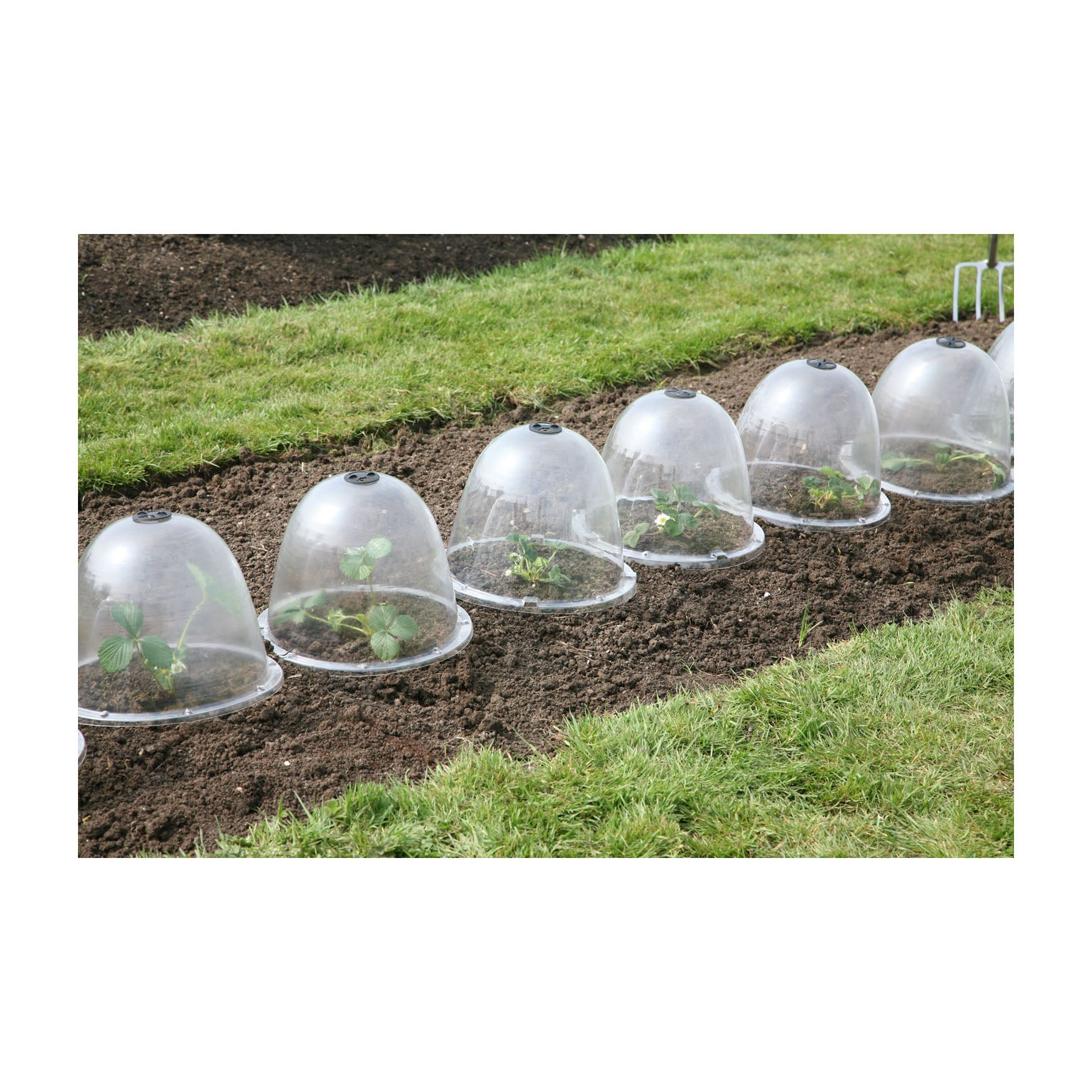 plastic cloches for garden plants Original Victorian Bell 3pk | Plant Protection– Garden Your Way