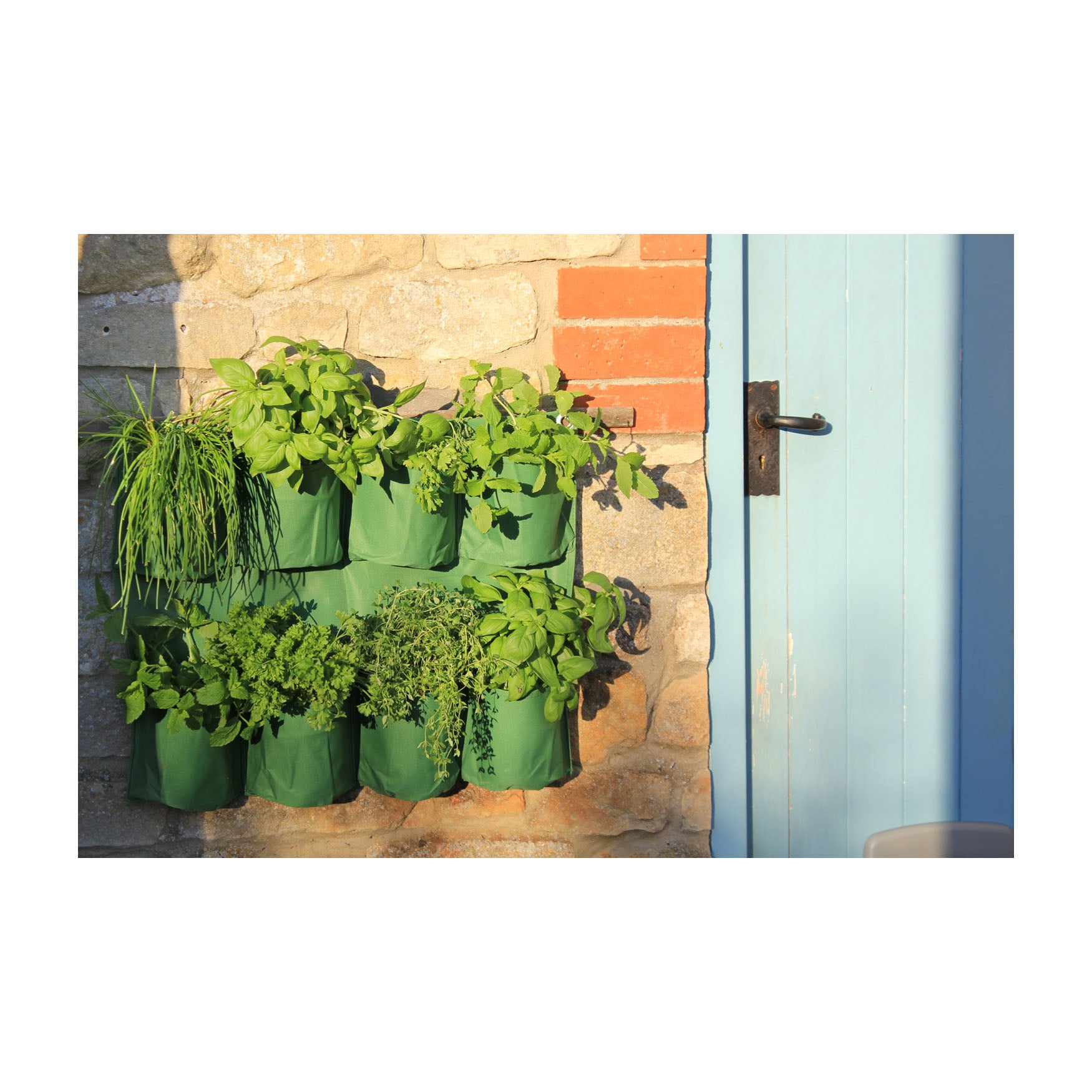 indoor wall mounted herb planter Haxnicks Herb Wall Planter