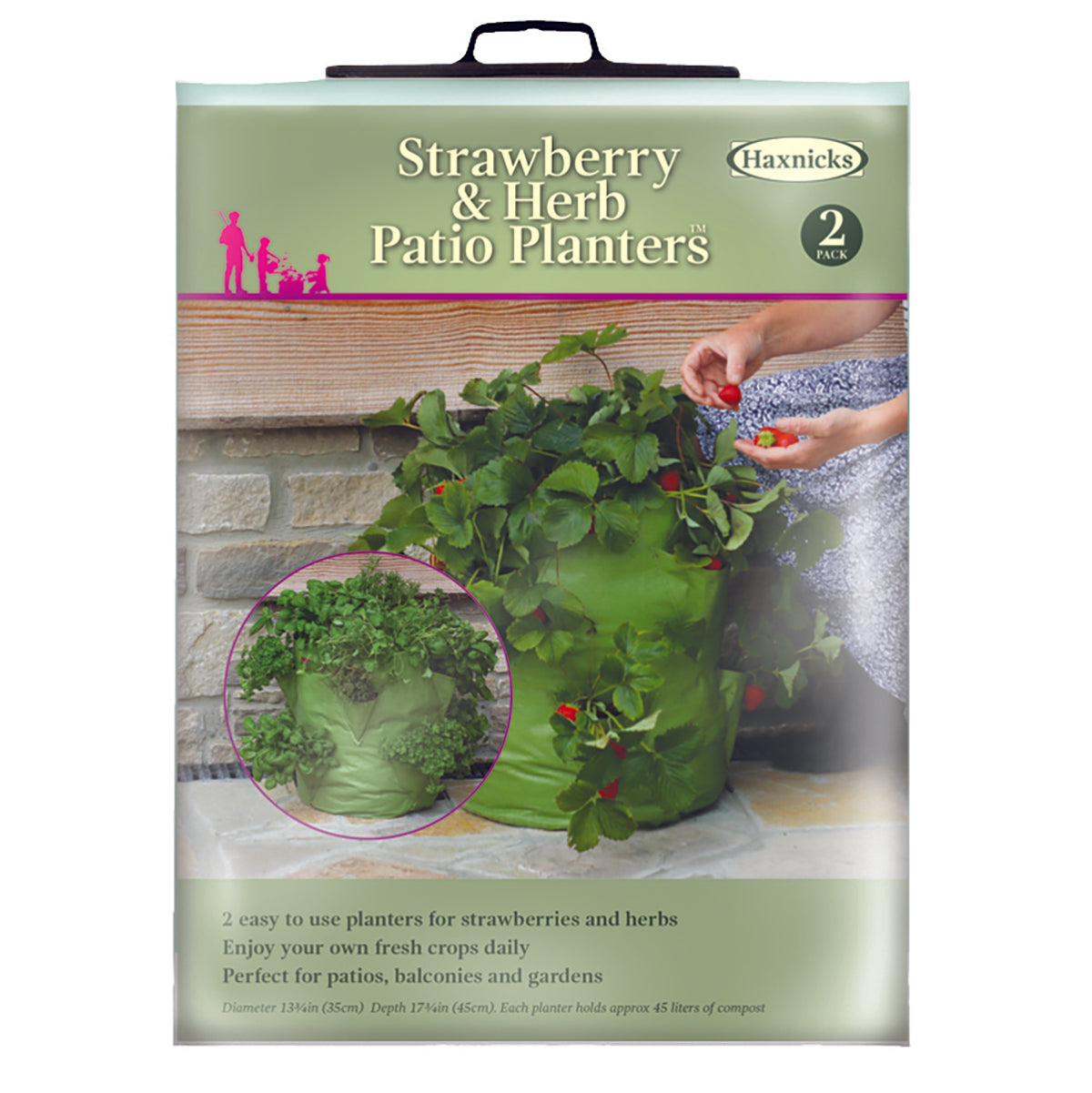 Strawberry &amp; Herb Patio Planter 2pk