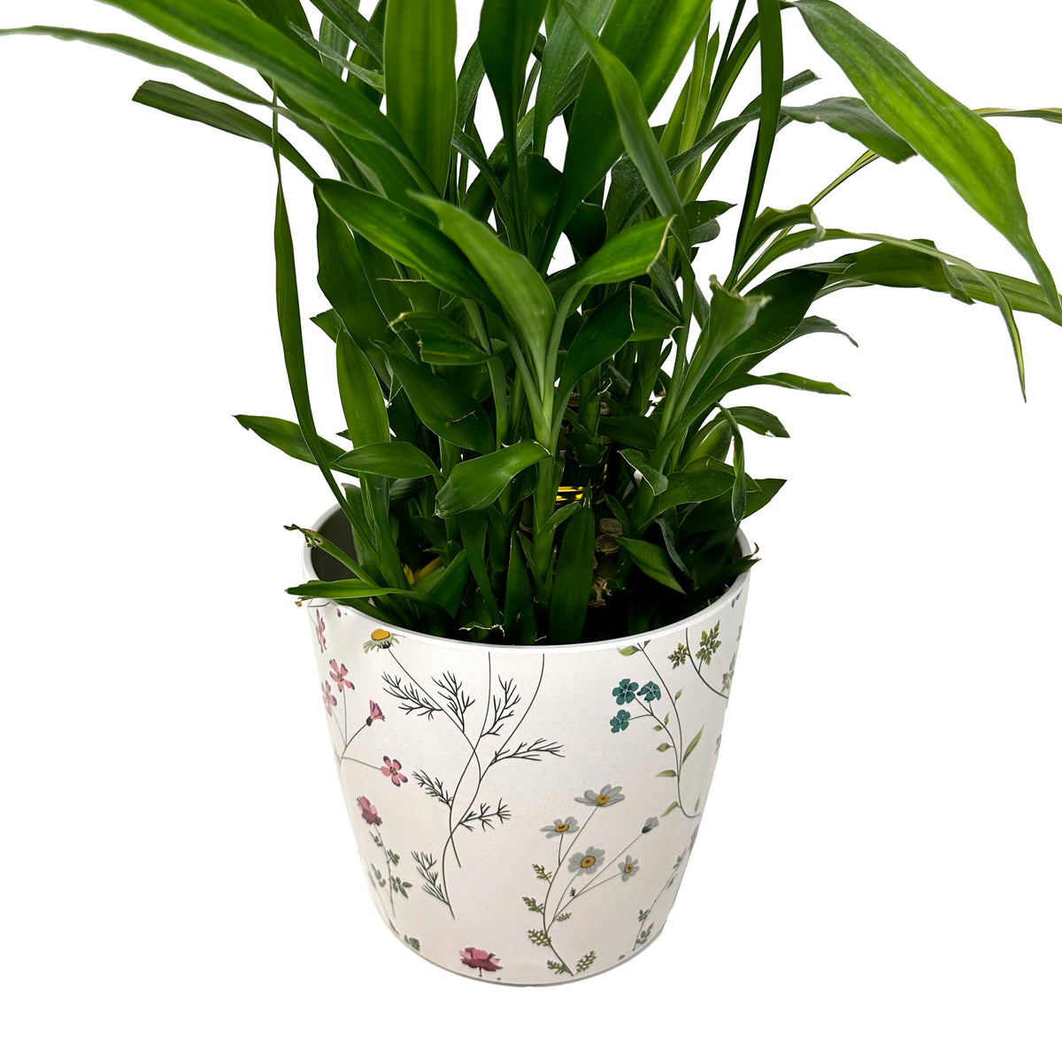 7&quot; Wildflower Round Self-Watering Bamboo Pot