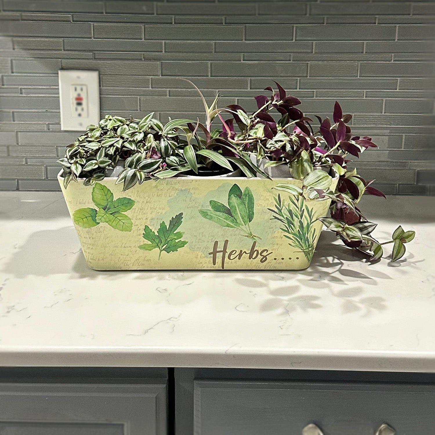 self watering herb planter outdoor 16" Herbs Rectangular Self-Watering Bamboo Planter