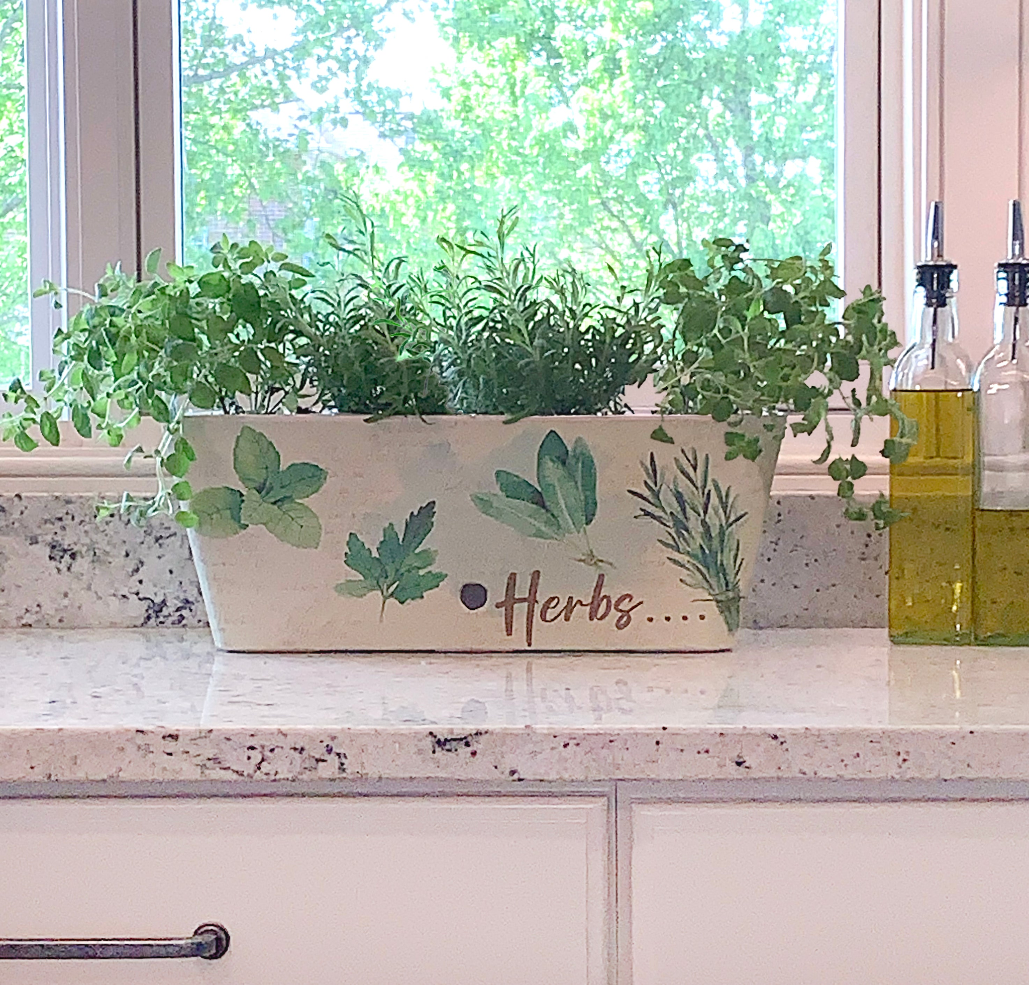 self watering indoor herb planter 16" Herbs Bamboo Self-Watering Planter | Plant Containers