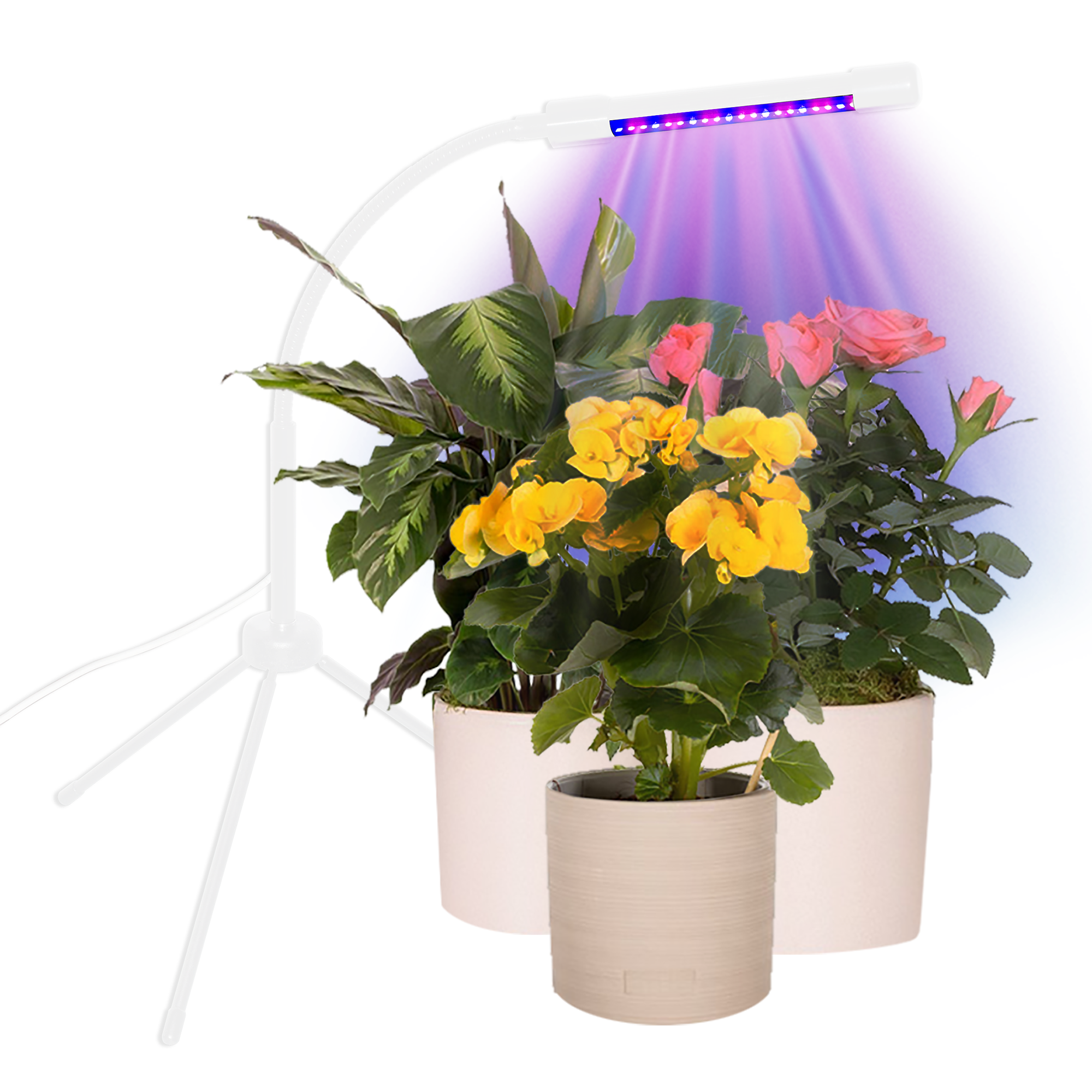 base for indoor plants Plant Booster Grow Light
