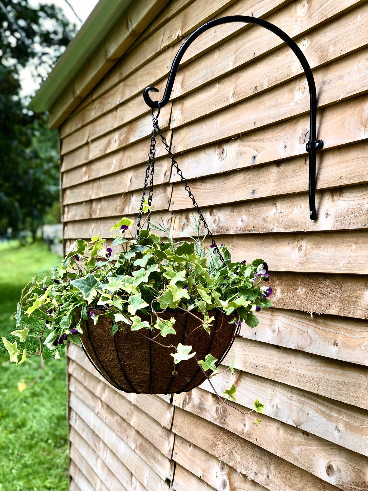 16&quot; York Deluxe Hanging Basket with Coco Liner