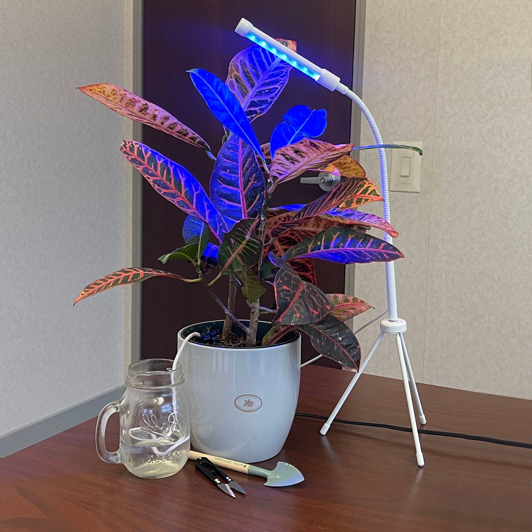 plant grow kit with light Tierra Garden Plant Grow 3 Piece Kit