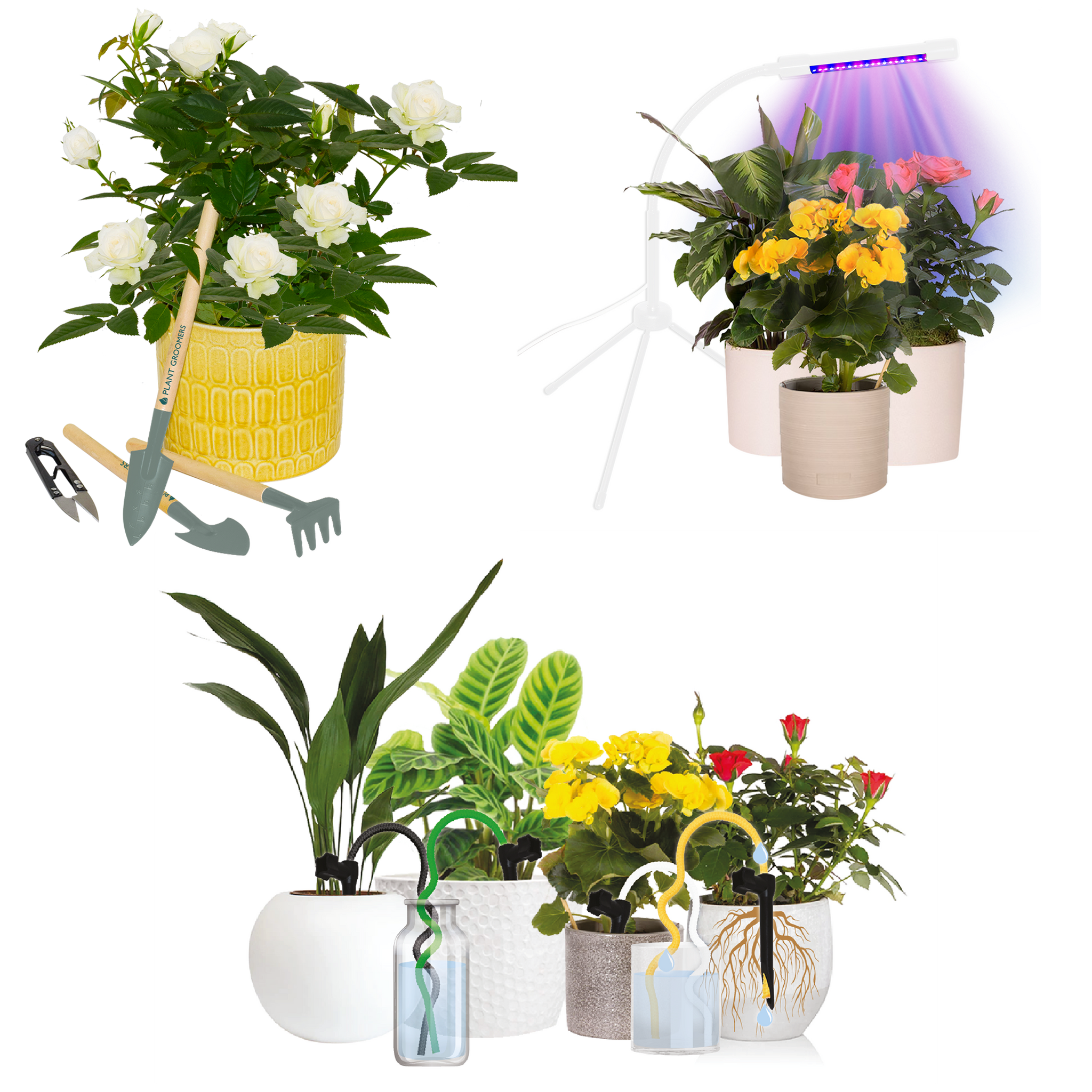 plant grow kit with light Plant Grow & Groom 3 Pc Kit | Gardening Solutions – Garden Your Way