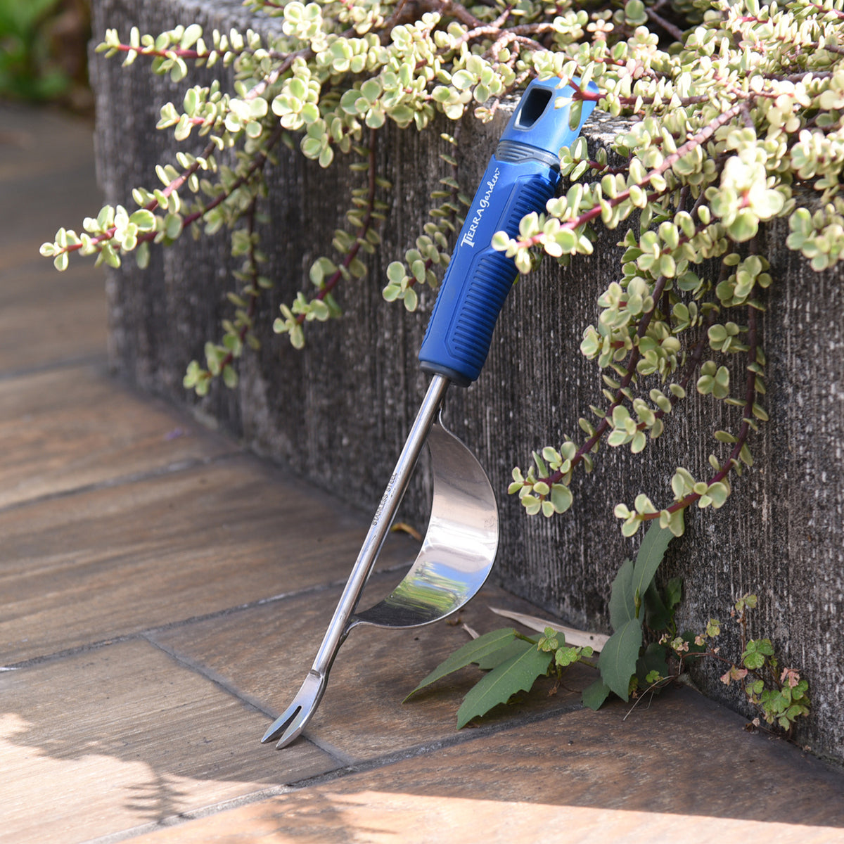 Stainless Steel Weeder with TPR Handle