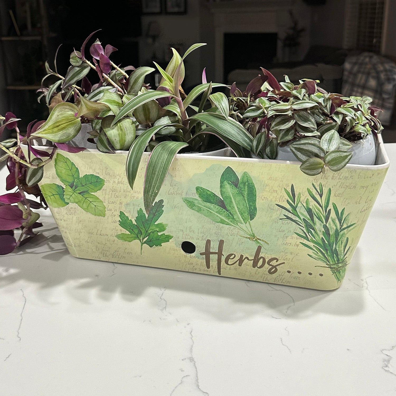herb garden planter self watering 16" Herbs Bamboo Self-Watering Planter | Plant Containers