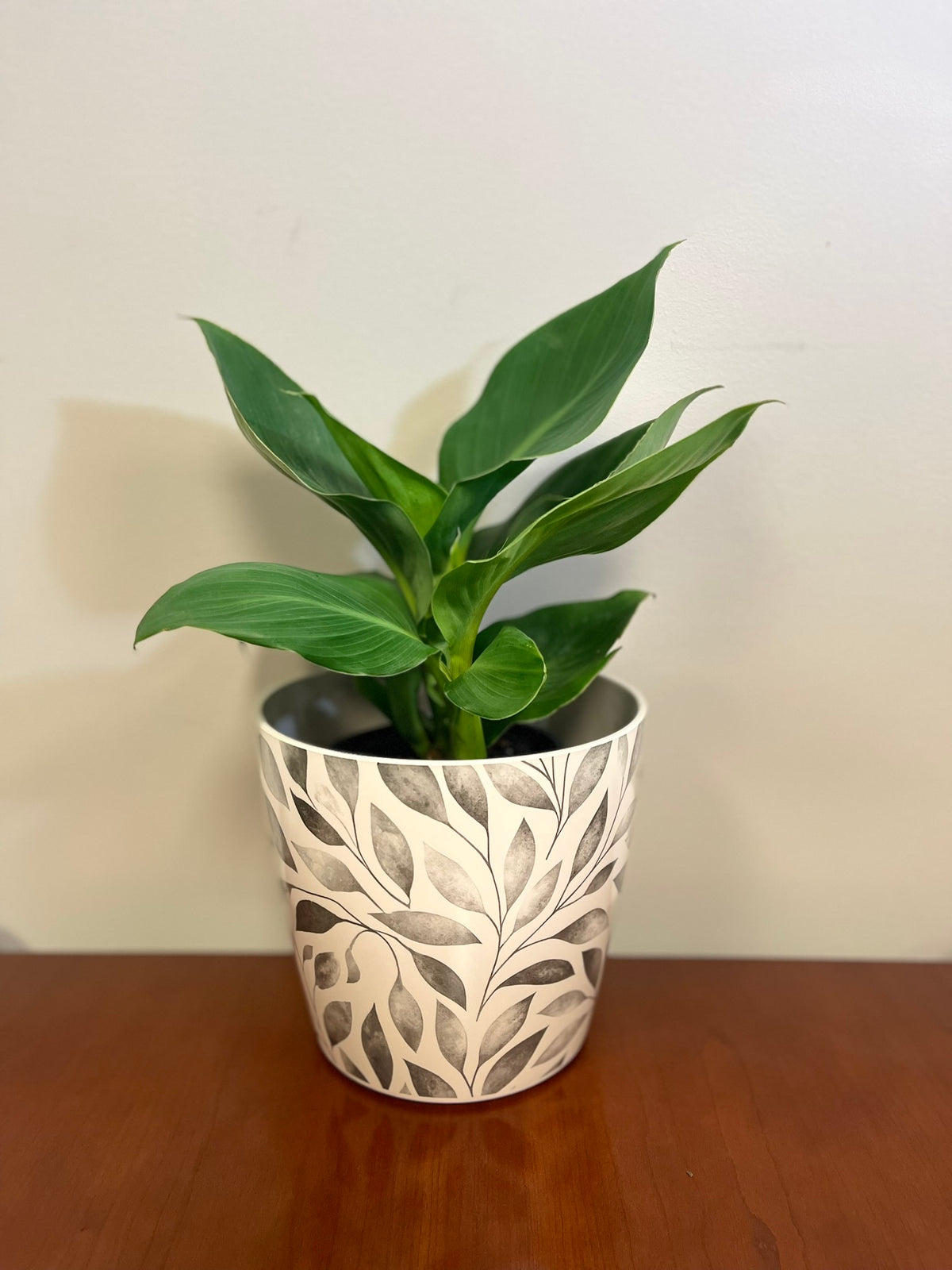 7&quot; Gray Leaves Round Self-Watering Bamboo Pot