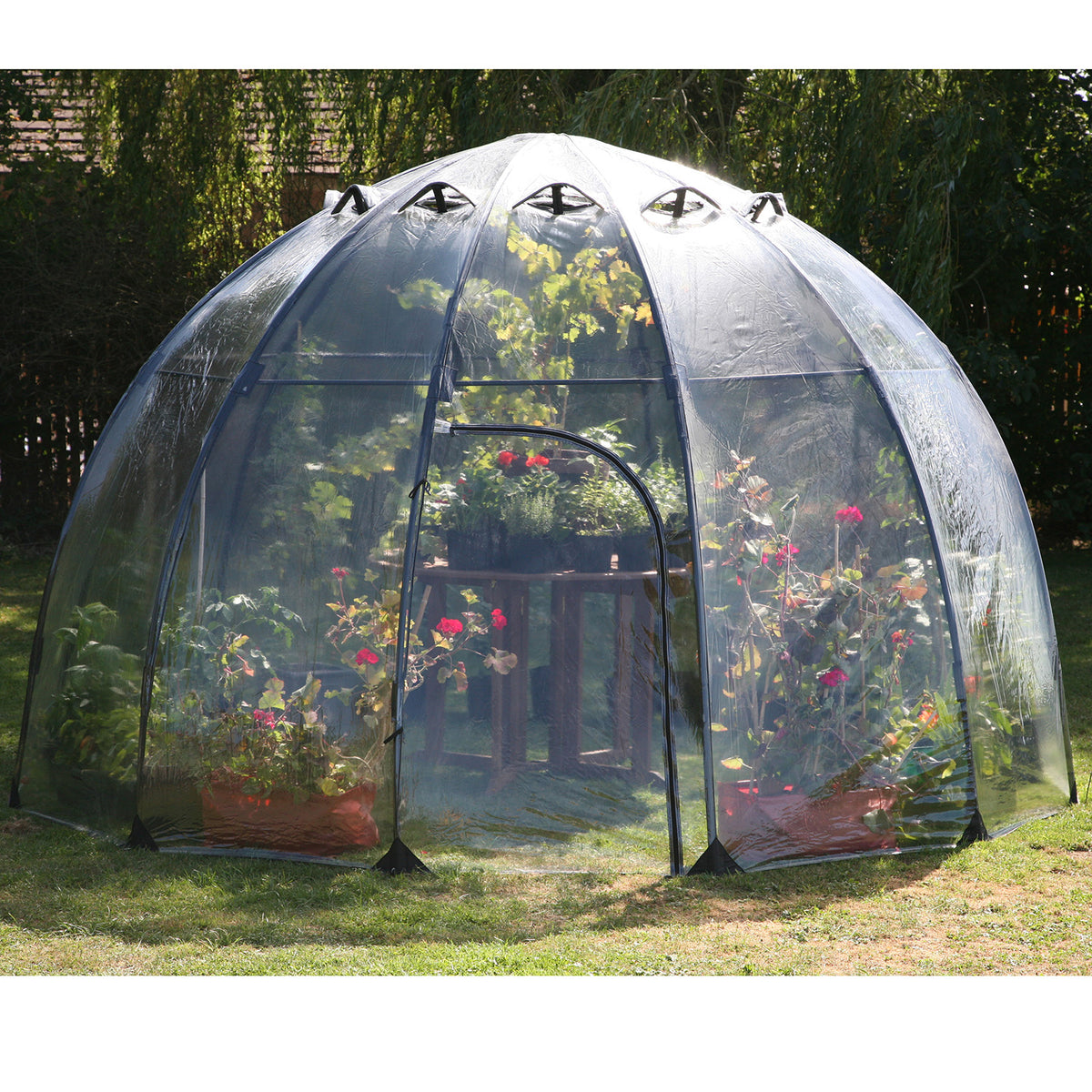 Large Sunbubble Greenhouse